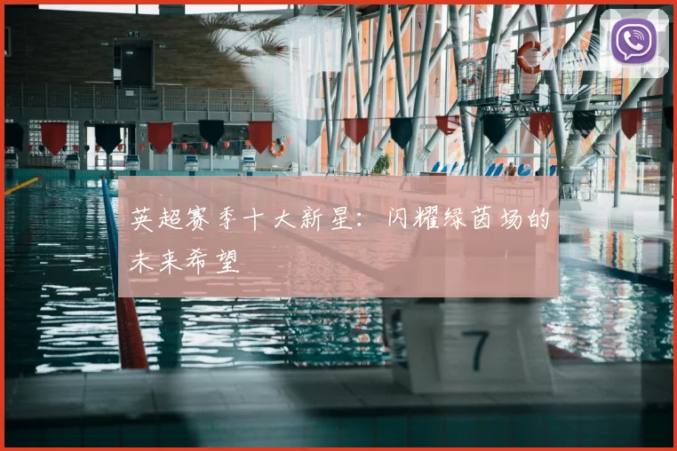 英超赛季十大新星：闪耀绿茵场的未来希望