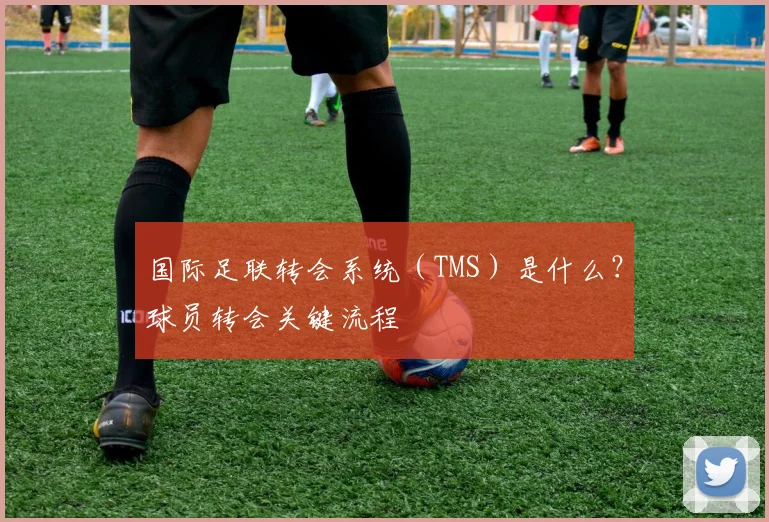国际足联转会系统(TMS)是什么?球员转会关键流程